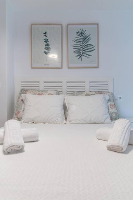 Apartamento Zurbaran By Gades Gestion Cádiz Exterior foto
